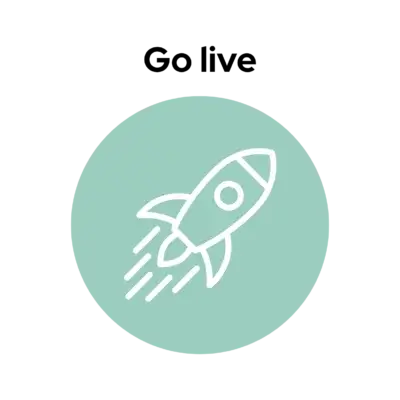 Project aanpak go live
